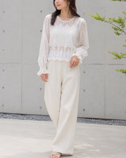 シアーデザインブラウス